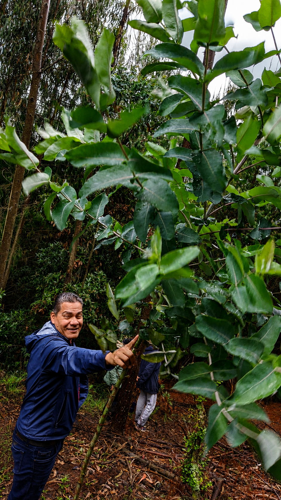Salida ecológica a Tenjo - Exploración natural